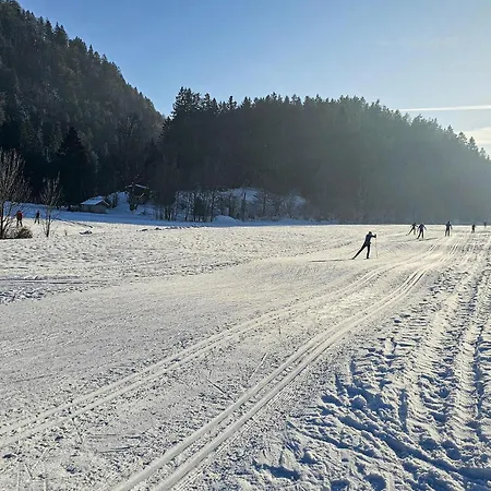 Apartmán Niederndorferb *